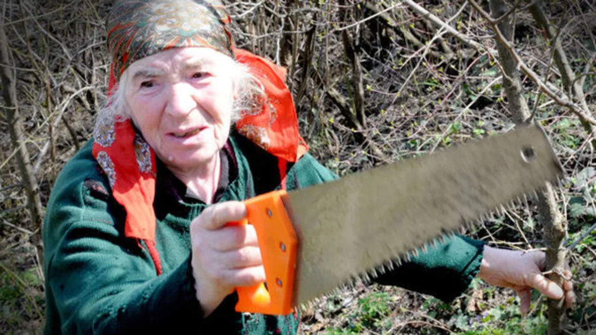 3 ülkenin internetini kesen yaşlı kadını gören inanamadı! Meğer 5 saat boyunca...