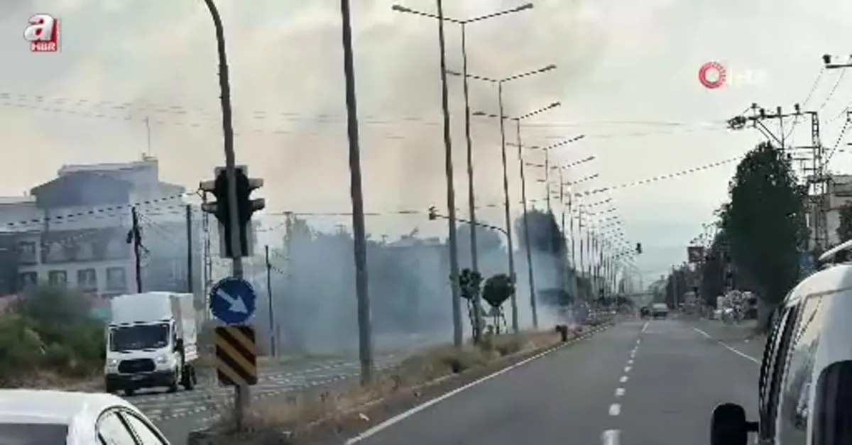 Yaşlı kadın otları ateşe verdi