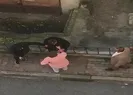 Detaylıca planladı sokakta katletti!
