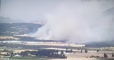 Son dakika | İzmir Foça'da korkutan orman yangını! Ekipler bölgede! Havadan karadan müdahale başladı