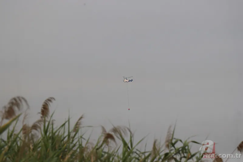 Sakarya’da ciğerlerimiz yanıyor! Hasarın boyutu gün ağarınca ortaya çıktı 13