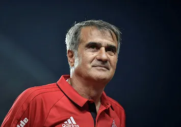 Şenol Güneş'ten Milli Takım açıklaması