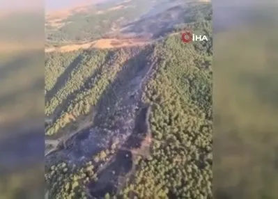 Uşak’taki orman yangını kontrol altında