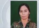 PKK’nın sözde sorumlusu etkisiz hale getirildi