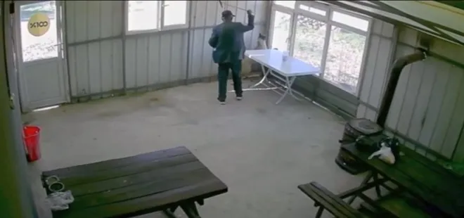 Edirne’de 81 yaşındaki şahıs köpeğe dehşeti yaşattı