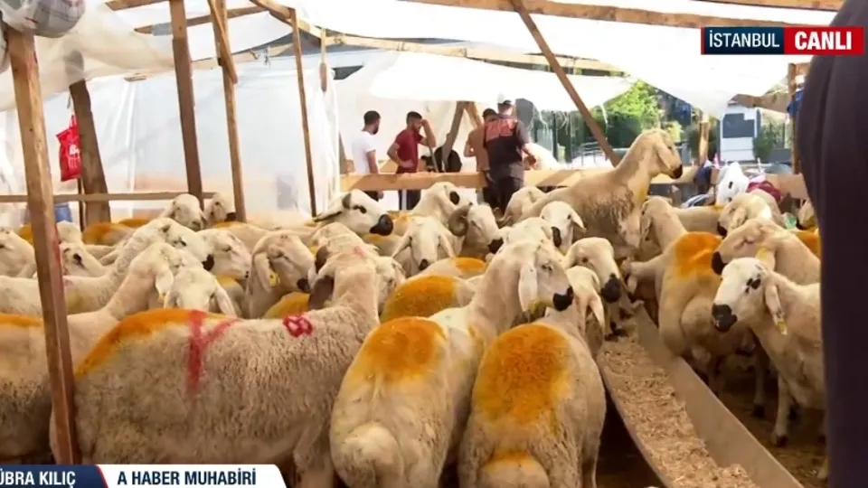 Kurban kesme alanlarında 2. gün yoğunluğu