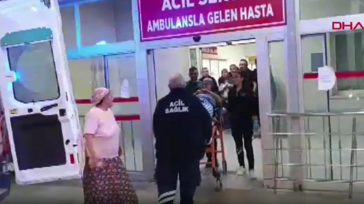Adana'da zeytin bahçesinin tepeden düştü: Hastanelik oldu