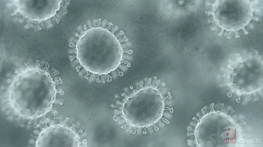 Çin’de virüs alarmı: Chikungunya virüsü nedir? Chikungunya hastalığı nasıl bulaşır, belirtileri neler, tedavisi mümkün mü? 2