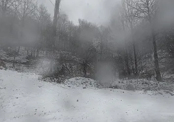 Tokat'ta kar yağışı etkili oldu