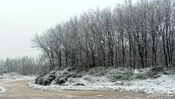 İstanbul ve Ankara'da kar başladı! 5 günlük hava durumu açıklandı! Fırtına ve sağanak uyarısı - 4
