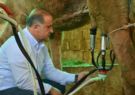 Litresi 65 liralık süt yoğun talep görüyor