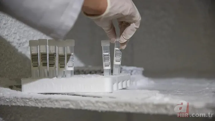 İş dünyasında yeni dönem! Çalışanlara uyuşturucu testi yapılabilir mi? 14