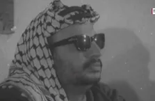 Kitleleri peşinden koşturan boksör