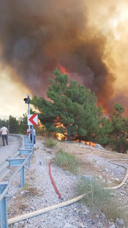 Son dakika: Antalya Manavgat'ta orman yangını! Karayolu ulaşıma kapatıldı - 3