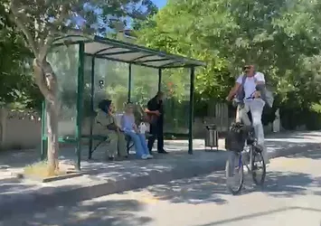 Caddede ilginç manzara! Gören telefona sarıldı