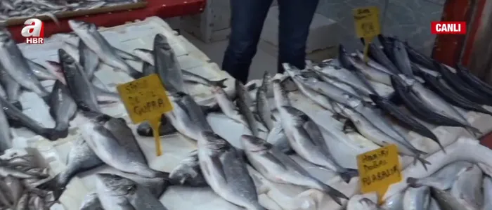 Tezgahlarda balık bereketi! Balık fiyatları ne durumda? - 4