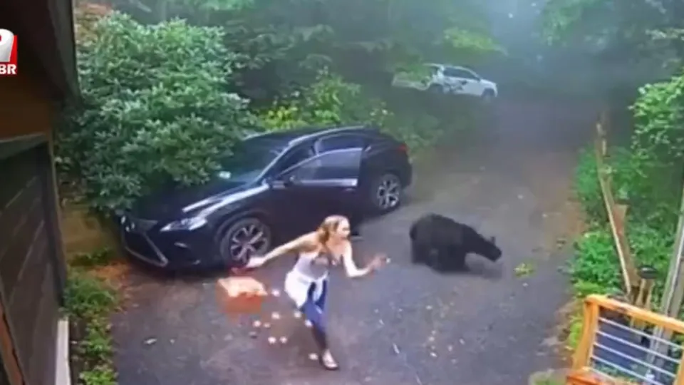 Otomobilinin kapısını açınca dehşete düştü! Aniden çıkan ayı...