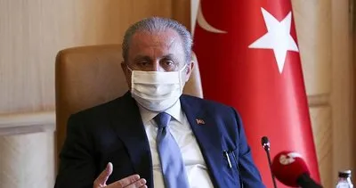 Son dakika: TBMM Başkanı Mustafa Şentop'tan Fransa'ya tepki!