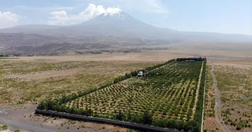 Çocukları için Ağrı Dağı manzaralı havuz yaptı