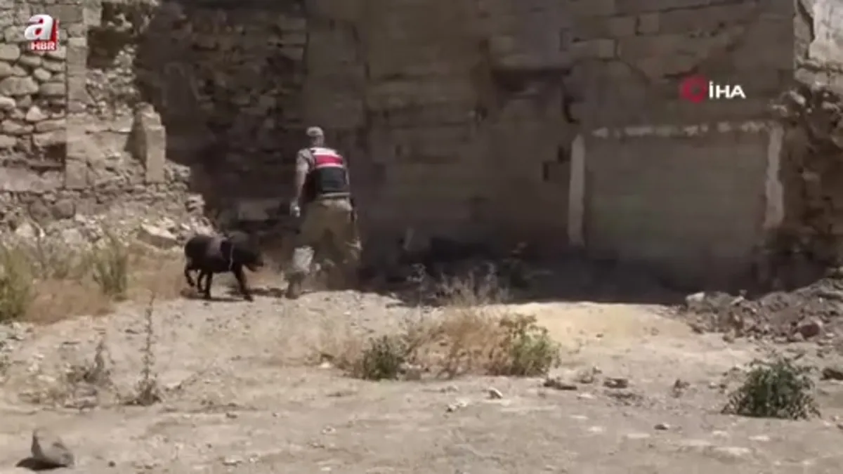 Kilis'in 2 yaşındaki kız çocuğu kayboldu