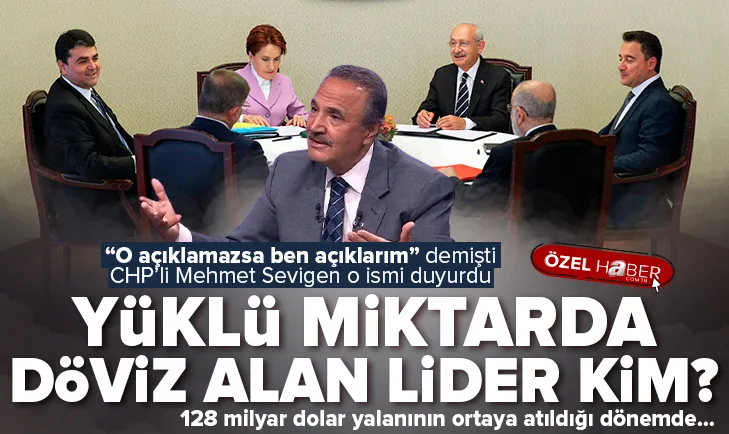 Sevigen yüklü miktarda döviz alan lideri açıkladı