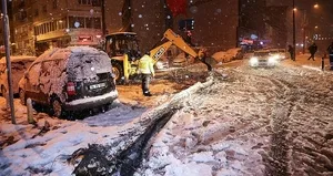 İstanbul’da yoğun kar yağışı ağaçları devirdi