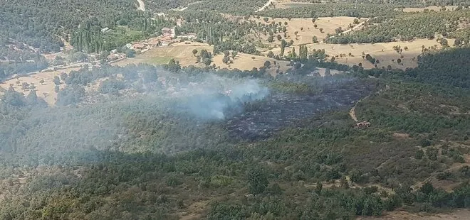 Uşak’ta orman yangını