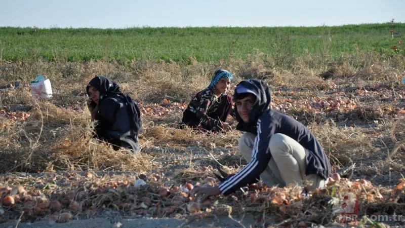 Mevsimlik işçiler kıdem tazminatı alabilir mi? Kıdem tazminatı nasıl hesaplanır? 9