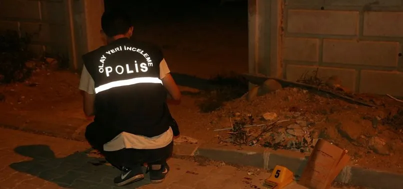 Aydın'da baba oğulun kavgası kanlı bitti