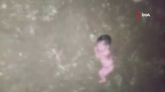 1i8sdjbxuxkgam 1i8sdjbxuxkgam