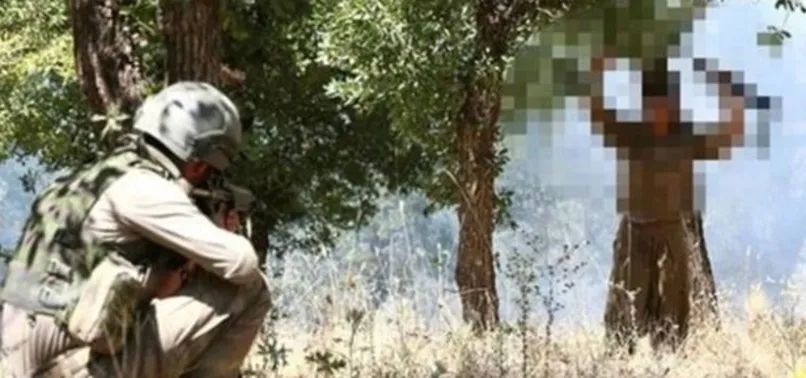 Son dakika: 3 terörist teslim oldu