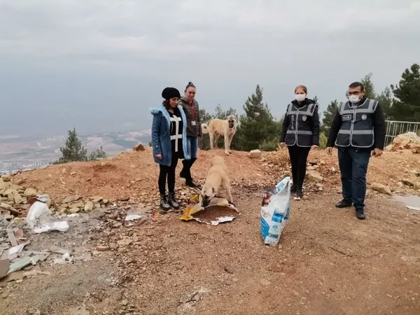 Son dakika: Güvenlik güçleri sokak hayvanlarını unutmadı - 2