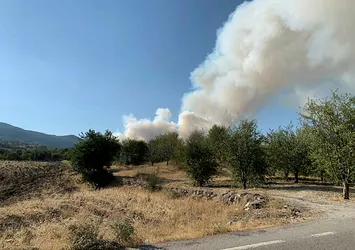 Ankara'nın Çubuk ilçesinde orman yangını