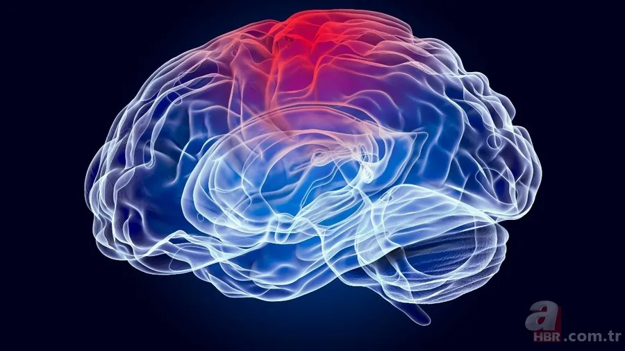 Bu gen bozulursa şizofreni başlıyor olabilir! GRIN2A araştırması gündemde 5