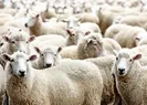 İşte il il 2016 Kurban Bayramı namaz saatleri