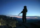 PKKlı terörist Suriye sınırında yakalandı