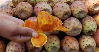 Dikeni toplayıcıya, parası perakendeciye