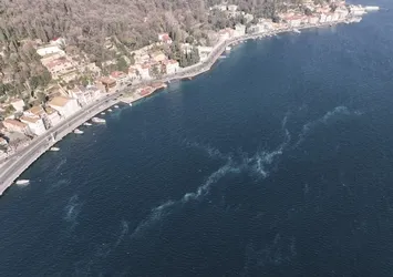 İstanbul Boğazı'nda şaşırtan görüntü! İstila ettiler