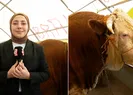 Canlı yayında rekor kurban pazarlığı