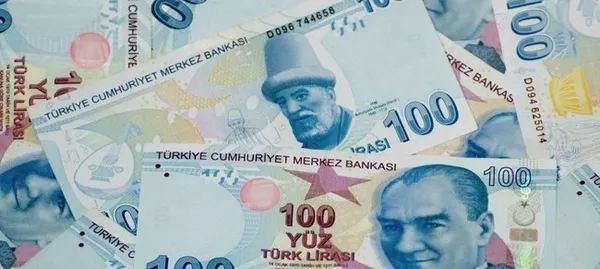Hazine ve Maliye Bakanı Nureddin Nebati yeni uygulamayı duyurdu: Teşvik ve destek verileri tek sistemde toplanıyor - 2
