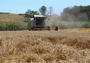 Türkiye'nin liderliğinde tahıl krizi çözüldü! Fiyatlar rayına oturdu