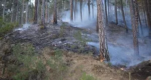 Çorum’daki orman yangını söndürüldü!