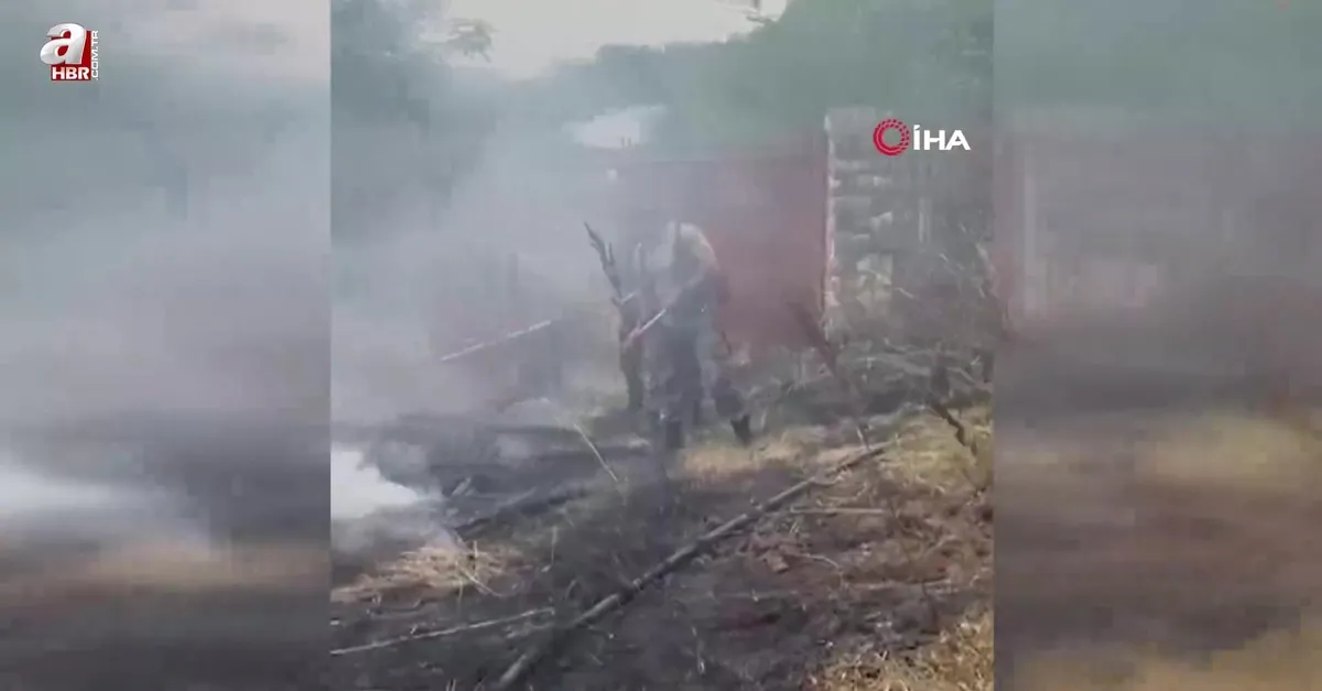 Azerbaycan'da dağlık alanlarda yangın