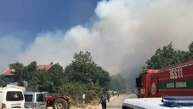 Bursa'da orman yangını çıktı! Olayla ilgili bir kişi gözaltına alındı - 2