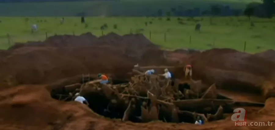 Karınca yuvasından sanat eseri çıktı 🐜 Vahşi doğanın usta mimarları! Otoban, yan yol ve patika bile yapmışlar 21