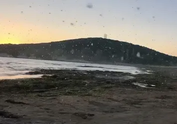 Eğirdir Gölü'nde bu kez sinek istilası