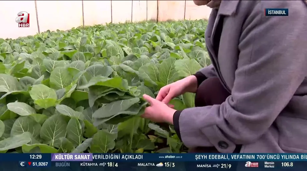 A Haber Pendik'in Göçbeyli köyünde
