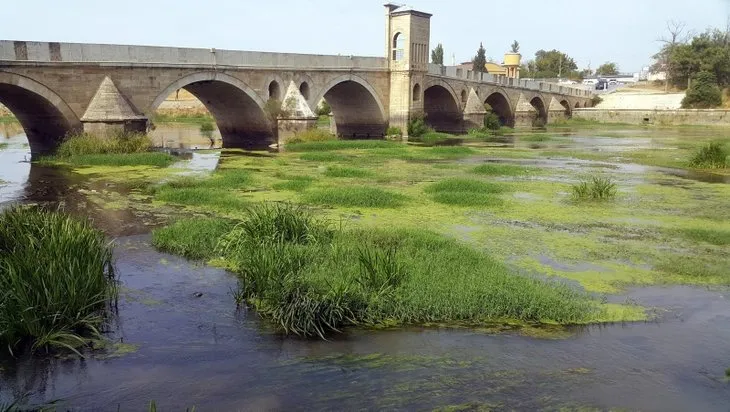 Kuraklık bu hale getirdi: Tunca Nehri yeşile büründü