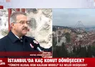 İstanbulda kaç konut dönüşecek?