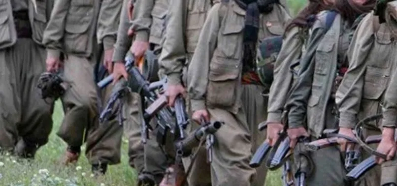 Teslim olan terörist itiraf etti: HDP binasına gittik sonra bizi YPG'ye götürdüler
